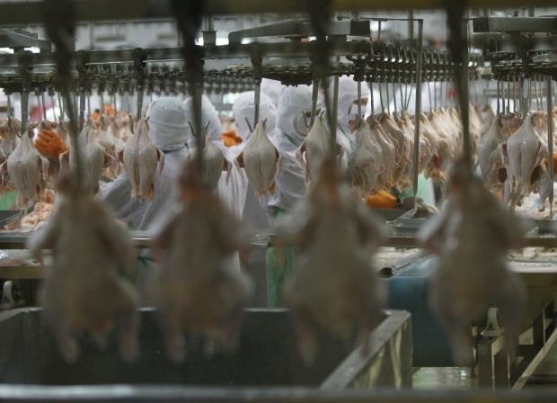 Беларусь временно ввела ограничения на ввоз мяса птицы из Болгарии
