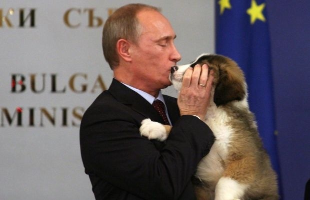 Болгарская овчарка Путина Баффи скоро станет отцом