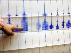 Не менее 40 человек стали жертвами землетрясения в Иране