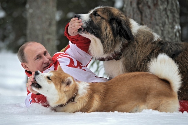 Владимир Путин играет в снегу с болгарской овчаркой Баффи