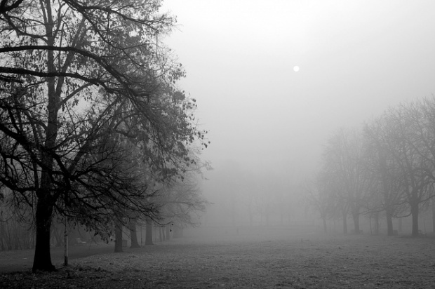 Густой туман окутал 25 областей Болгарии