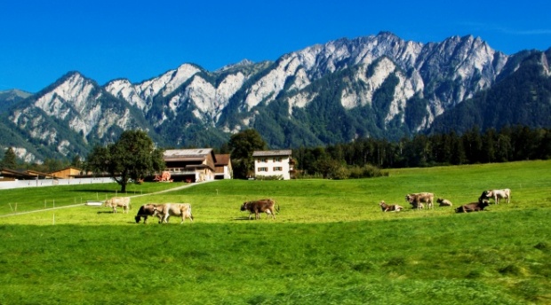 Новая этикетка "произведено в горах" появится на продуктах в ЕС