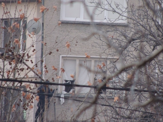 Стрелок из болгарского города Лясковец забаррикадировался в своем доме
