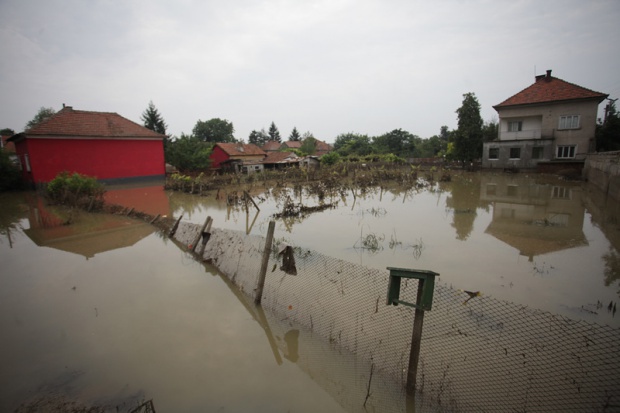 В результате наводнения в болгарском городе Мизия отравлен урожай