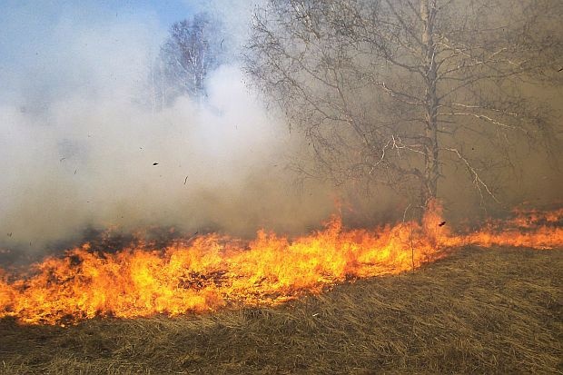 В результате пожаров в Хакасии погибли 14 человек