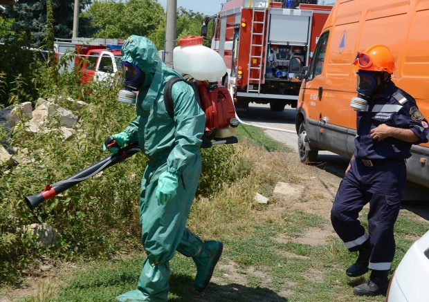 В Болгарии обнаружена вторая вспышка сибирской язвы в селе Варненской области