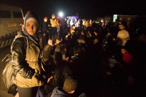 Беженцы закидывают полицейских камнями на границе Сербии и Венгрии