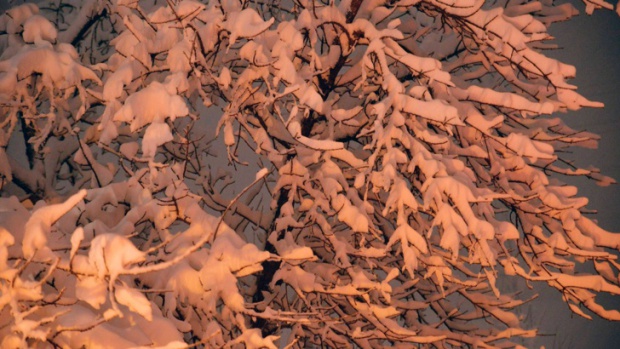 На Балканах выпавший снег усложнил ситуацию на дороге Ниш - София