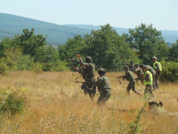 Сегодня на полигоне "Ново село" начинаются совместные учения наземных сил Болгарии и США