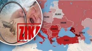 Болгария входит в число стран с умеренным риском распространения вируса Зика