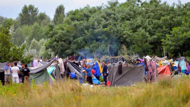 Миграционное давление на Болгарию усилилось! 45 иностранцев задержаны за один день на границе с Сербией