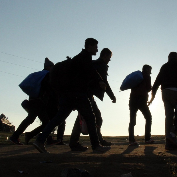 На сербско-венгерской границе более сотни мигрантов начали голодовку