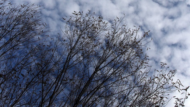 Синоптики предупреждают о грозовых бурях в Болгарии