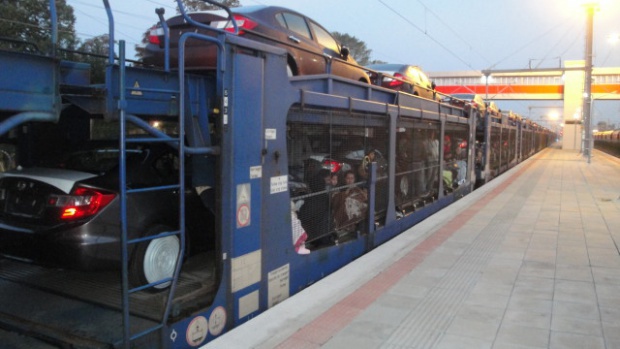 Пограничники в Болгарии обнаружили более 30 нелегальных мигрантов в грузовом поезде