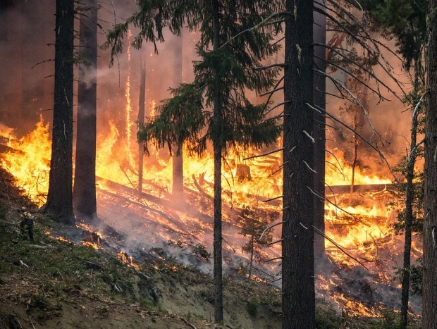 В Греции на острове Китира объявлено чрезвычайное положение из-за лесных пожаров