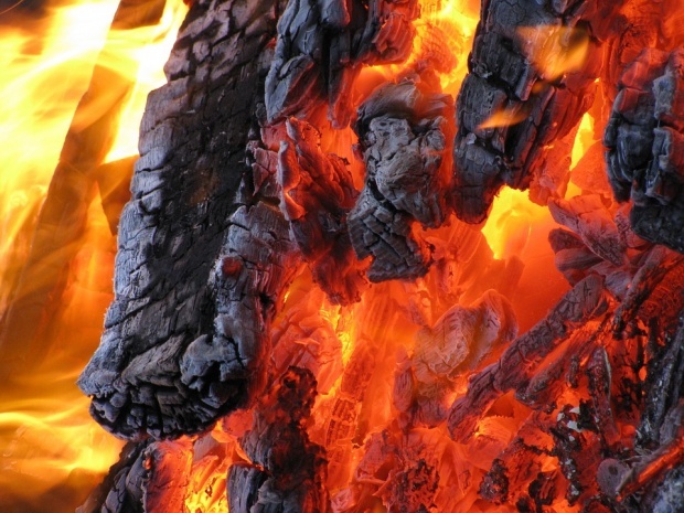 Власти Греции заявили о спланированных поджогах лесов в преддверии Успения Богородицы