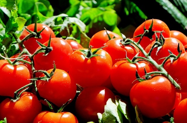 В Болгарии создали новый сорт помидоров