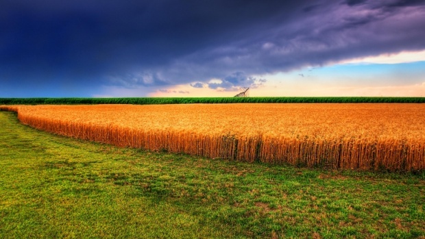 ЕС намерен реформировать свою сельскохозяйственную политику