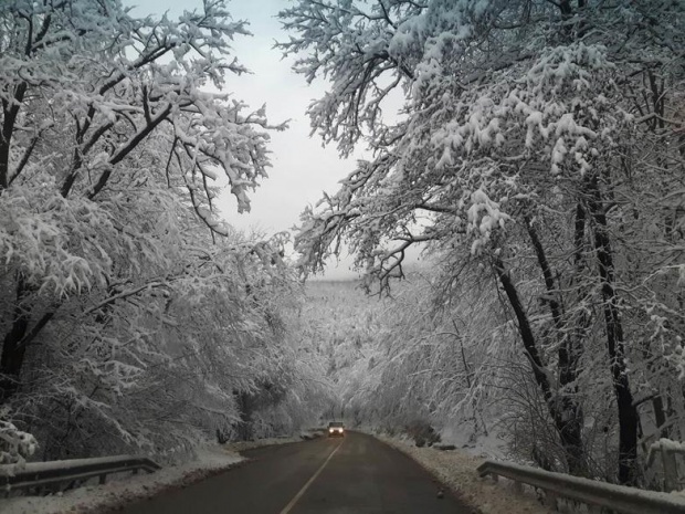 Снег выпадет в Болгарии в выходные дни