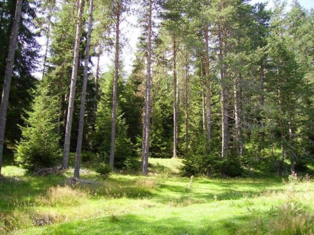 Сегодня в Болгарии утром ожидается дождь, после обеда  - солнечная погода