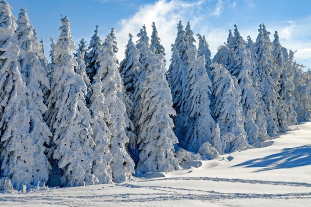 Зима пришла в Болгарию с температурой до -4°