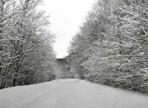 В Болгарии из-за снега на многих дорогах ограничено движение