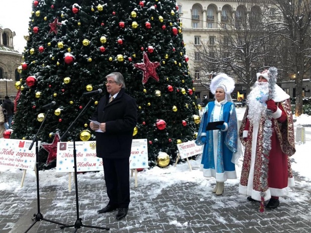 Правительство Москвы подарило Софии на Новый год 13-метровую праздничную ель (фото)