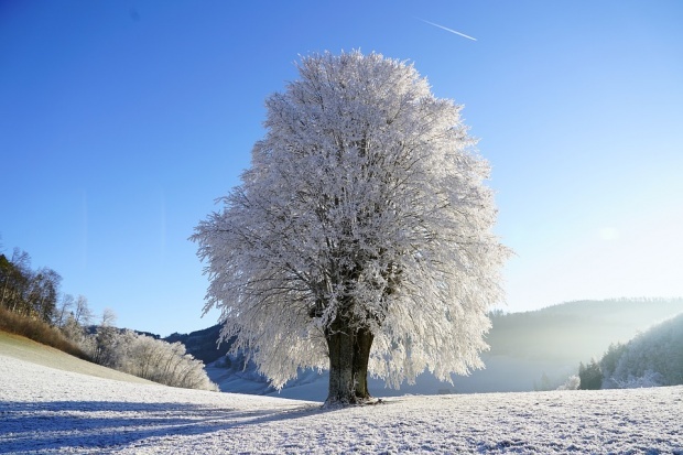 На Рождество погода в Болгарии будет холодной
