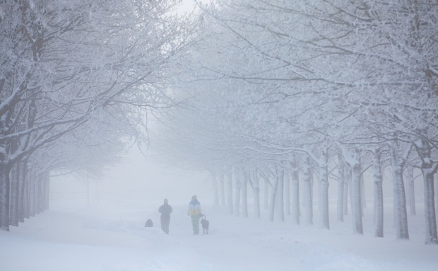 Холод и метели ожидаются в Болгарии в первые 15 дней января