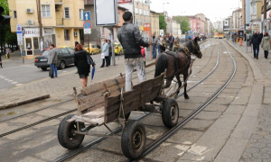В столице Болгарии оборудуют штрафстоянки для лошадей