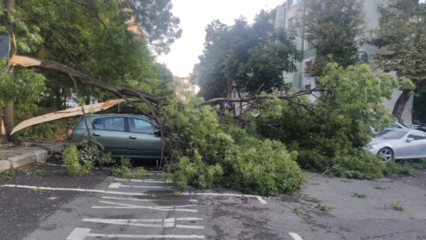 Буря и ураганный ветер обрушились на Южную Болгарию