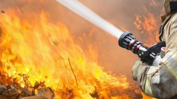 Пожар в Родопах уничтожил вековой лес